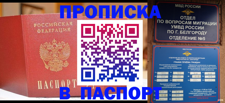 временная регистрация в квартире в Шумихе